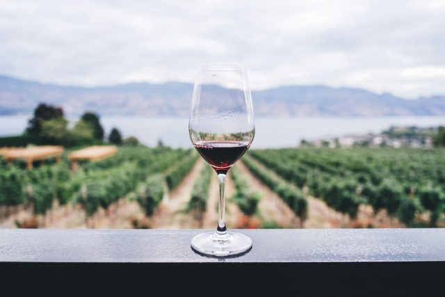 vins et vignobles