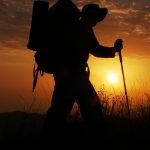 Techniques de survie