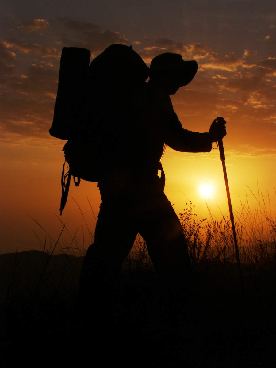 Techniques de survie