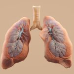 Santé respiratoire