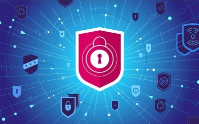 Tout savoir sur les PBN : Comment booster votre SEO grâce aux réseaux de sites